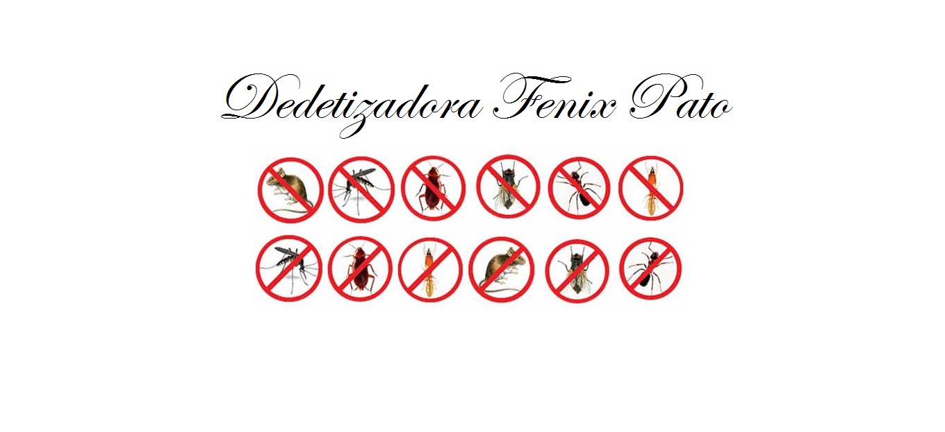 Dedetizadora Fenix Pato - Foto 2